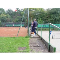 Clubmeisterschaften_170_2017_09_23.jpg