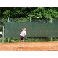 Mannschaftsspiele_078_2017_06_10.jpg