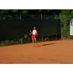 Mannschaftsspiele_203_2017_06_24.jpg