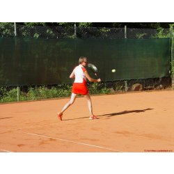 Mannschaftsspiele_204_2017_06_24.jpg