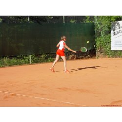 Mannschaftsspiele_205_2017_06_24.jpg