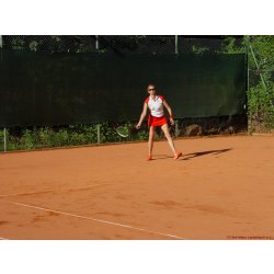 Mannschaftsspiele_207_2017_06_24.jpg