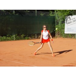 Mannschaftsspiele_209_2017_06_24.jpg