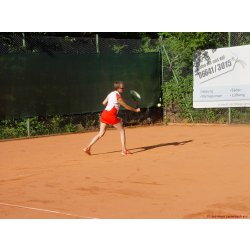 Mannschaftsspiele_211_2017_06_24.jpg