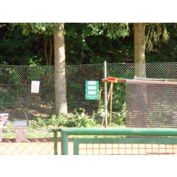 Mannschaftsspiele_238_2017_06_24.jpg