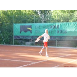 Mannschaftsspiele_255_2017_06_24.jpg