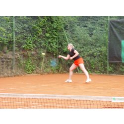 Mannschaftsspiele_280_2017_06_25.jpg